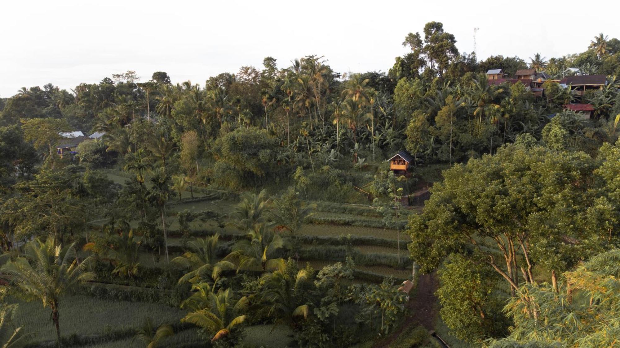 The Alam Tetebatu Bungalow & Restaurant Exteriör bild