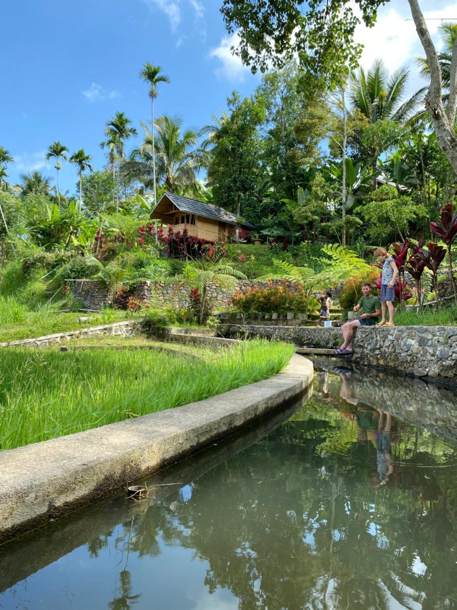 The Alam Tetebatu Bungalow & Restaurant Exteriör bild